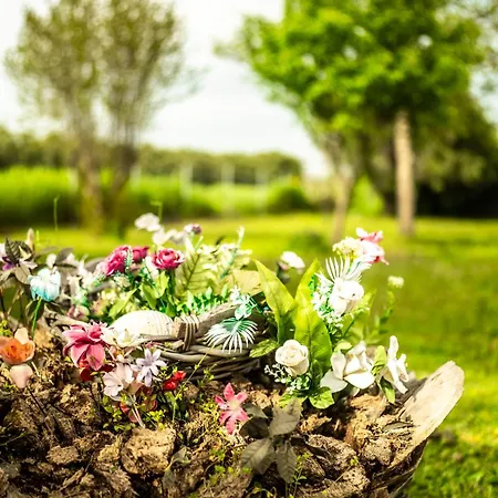 Blackeye Hidden Νέα Ποτίδαια